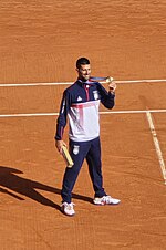 Thumbnail for 2024 Novak Djokovic tennis season