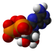 Base pair - Wikipedia