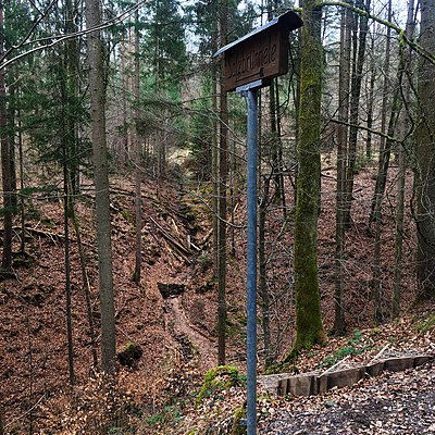 Abgang zum Salzbrünnele Rammert Tübingen Bühl.jpg