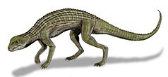 Adamantinasuchus BW.jpg