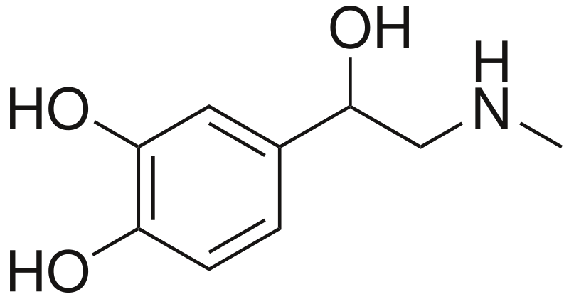 Dopamine - Wikipedia