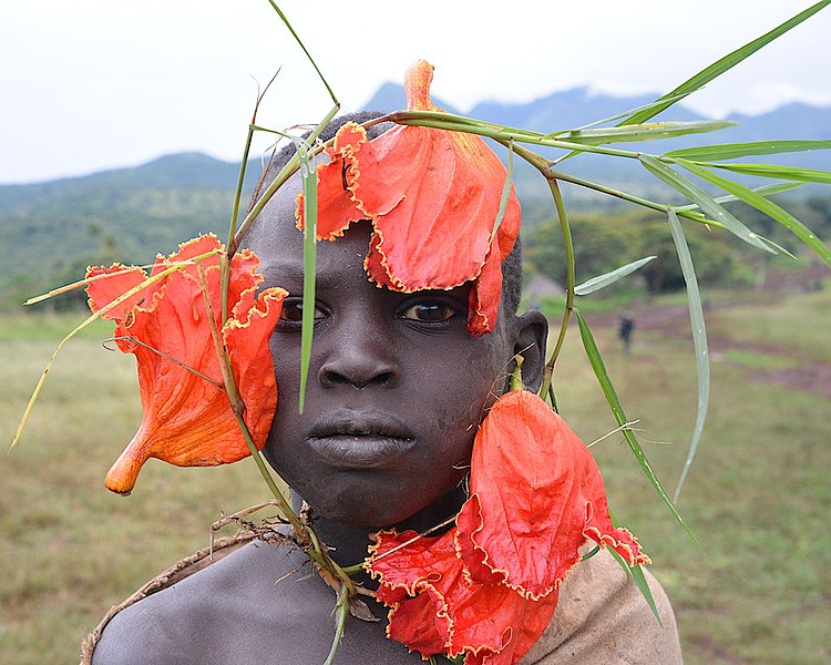 File:African Tulip Boy, Tulgit (14539438044).jpg