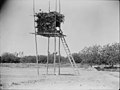 Agriculture, etc. A stilted watch-tower near Damascus. A leafy bower on high poles reached by a ladder LOC matpc.15635.jpg