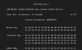 Скриншот программы aircrack-ng