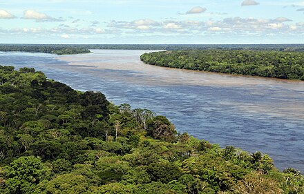 Aerial view of the Amazon rainforest, near Manaus