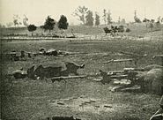 Confederate horses lay dead and artillery caissons destroyed on Antietam battlefield[80]