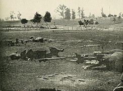 Confederate horses lay dead and artillery caissons destroyed on Antietam battlefield[101]