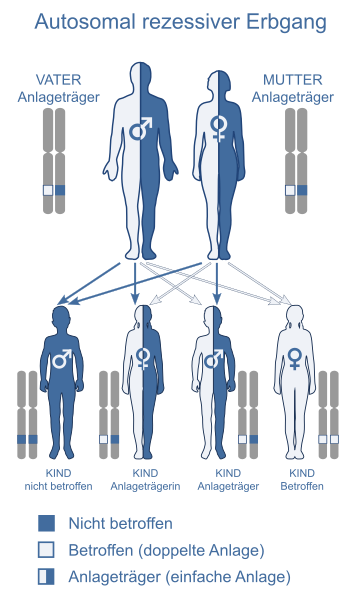 File:Autosomal recessive - de.svg