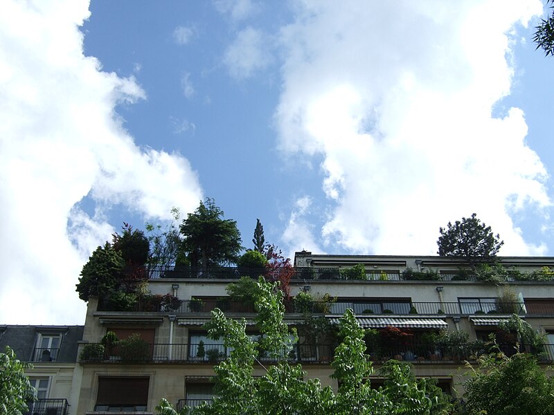 File:Avenue Foch nuages.jpg