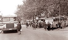 Busse in Ljubljana 1961