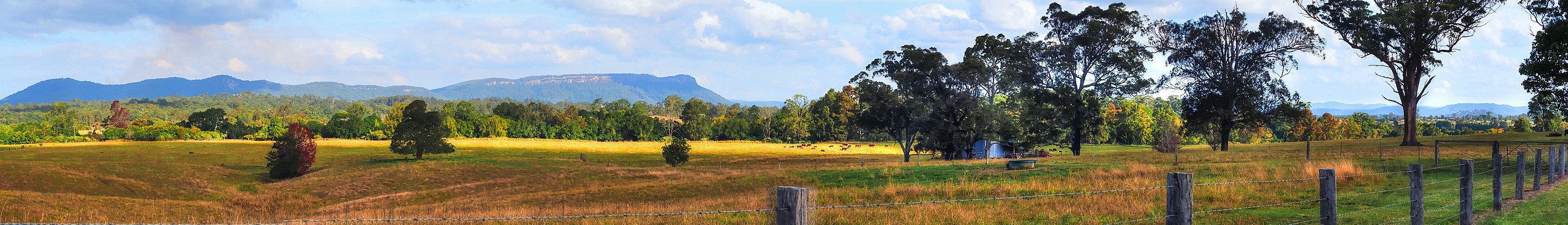 tourism new south wales