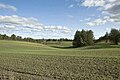 Små bølgende bakker I Vendsyssel, Danmark Small undulating hills in the Danish countryside, Vendsyssel, Denmark