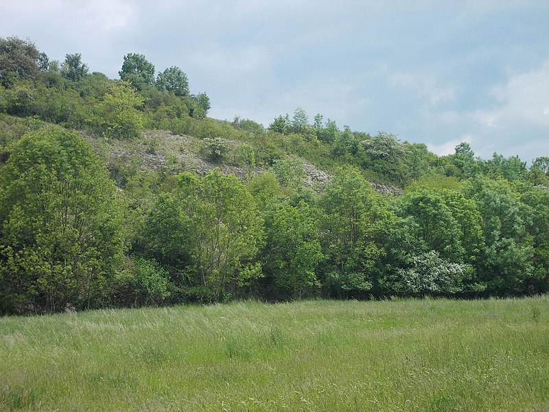 File:BalgstädtLandschaft1.JPG