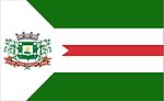 Bandeira NovaFloresta.jpg