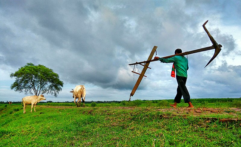 File:Bengali Farmer with Plow and Yoke on his Shoulder.jpg