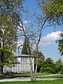 image=https://commons.wikimedia.org/wiki/File:Bergpark_Wilhelmshöhe_-_Baum_162_2019-05-18.JPG