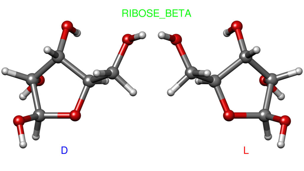 File:Beta ribose ball-and-stick.png - Wikimedia Commons