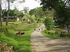 Barangay de Biabas.