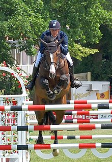 Billy Twomey Irish equestrian