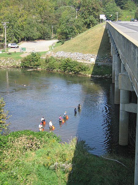 File:Biologists fan out in their search for mussels (6862858790).jpg