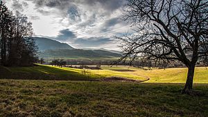 View over the LSG Weilheim an der Teck towards Breitenstein and Teck.jpg