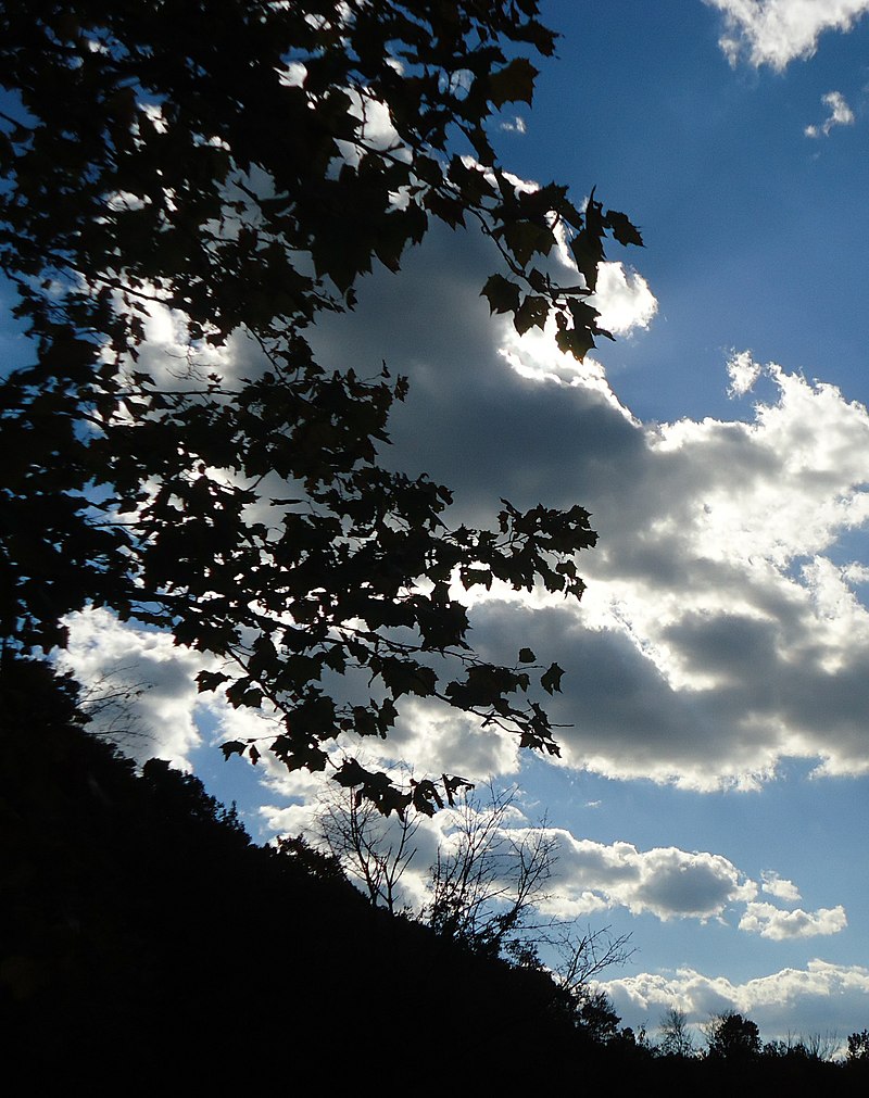 White Clouds in Blue Sky