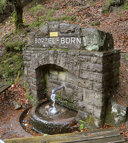 Borzel Born