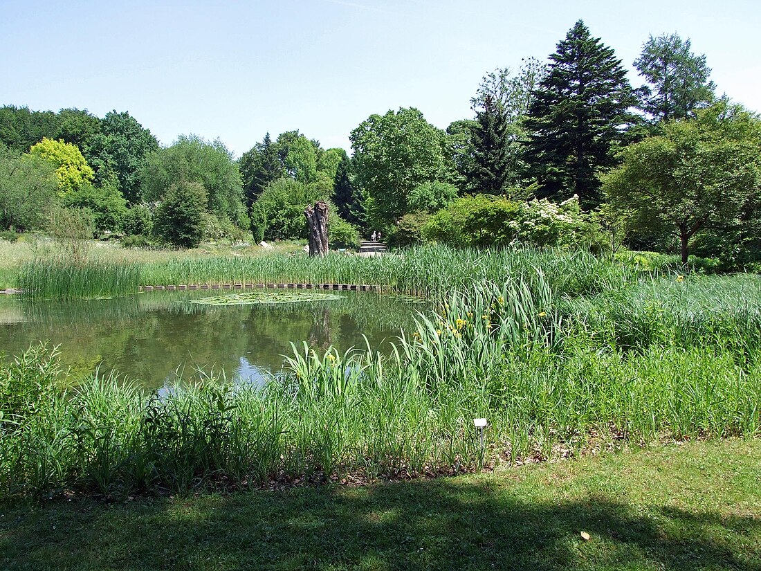 Botanical Garden Frankfurt