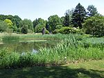 Jardín botánico de la Universidad de Fráncfort