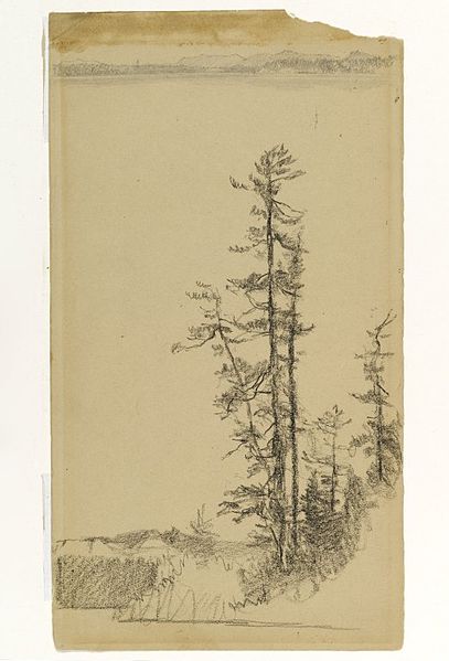 File:Brooklyn Museum - Trees - Homer Dodge Martin - overall.jpg