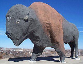 <i>Worlds Largest Buffalo</i>