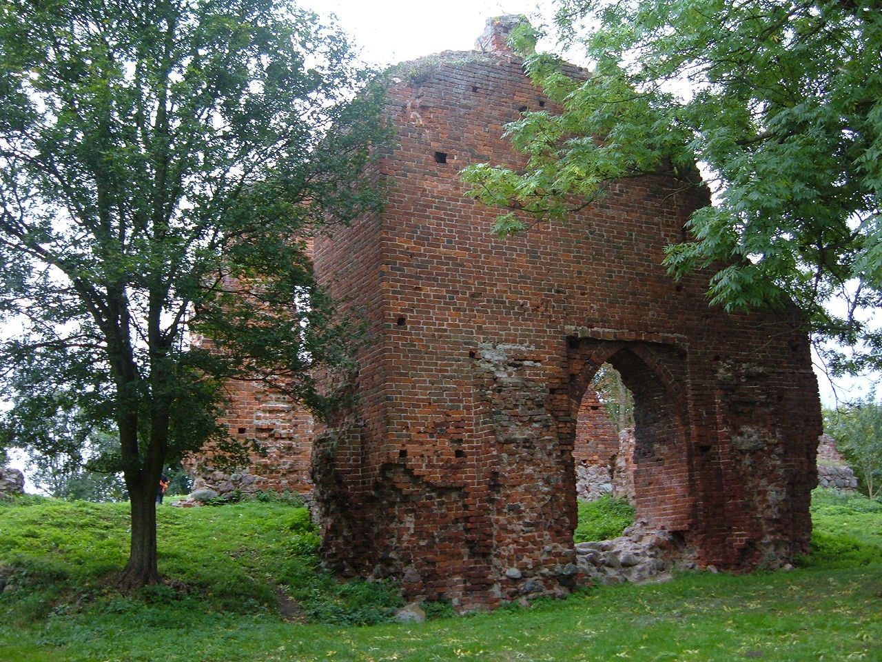 Burgruine Greiffenberg