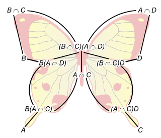 <span class="mw-page-title-main">Zassenhaus lemma</span> Technical lemma in group theory