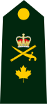 Dress uniform tunic