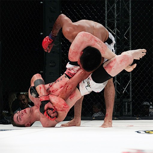 MMA fighter attempts a Triangle-Armbar submission on his opponent.