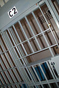 Full-length white prison bars and black backgroundl