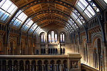 Central Hall of the Natural History Museum, London Central Hall.JPG