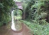 Most Cheswardine (č. 56), Shropshire Union Canal, Shropshire - geograph.org.uk - 547748.jpg