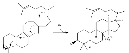 Cholestérol-Synthèse-Réaction12.png