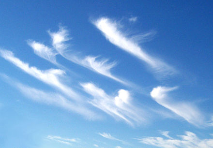 Cirrus uncinus ice crystal plumes showing high-level wind shear, with changes in wind speed and direction