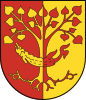 Coat of Arms of Veľký Meder.svg