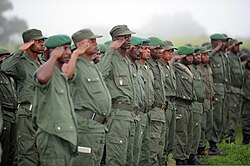 Congolese Light Infantry Battalion at Camp Base, Kisangani 2010-05-05.JPG