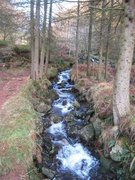 File:Criffel Burn - geograph.org.uk - 629288.jpg