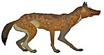 Cynotherium sardous restoration.jpg