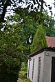 Deutsch: Eiche (im Hintergrund im Garten) in der Eichenstrasse; Naturdenkmal von Schöneiche bei Berlin; etwa 30 Meter hoch und 500 Jahre alt. English: Oack (in the background in the garden) at the Eichenstrasse; Natural monument in Schöneiche bei Berlin, ca 30 meters high an 500 years old.