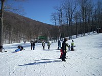 A snowy ski slope with several skiers on it and bare trees in the background