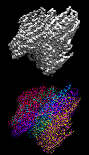 DNA origami