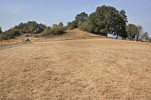 Dried up meadows and pastures on the Küppel in August 2018