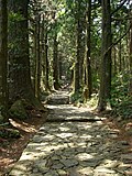 Vignette pour Sites sacrés et chemins de pèlerinage dans les monts Kii