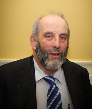 <span class="mw-page-title-main">Danny Healy-Rae</span> Irish non party politician (born 1954)